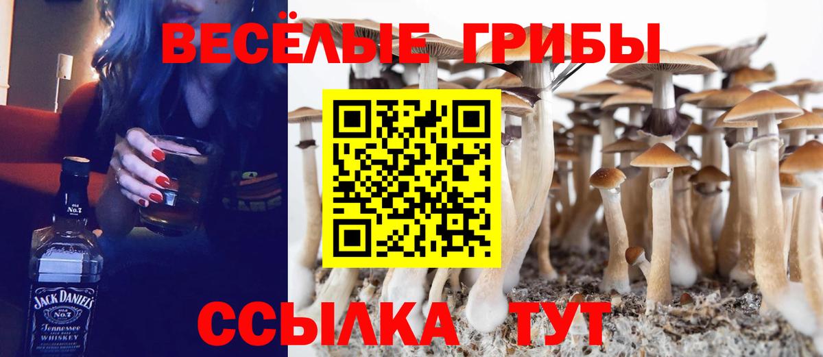 Прокопьевск  купить   Вход с VPN  Галлюциногенные грибы Psilocybe 