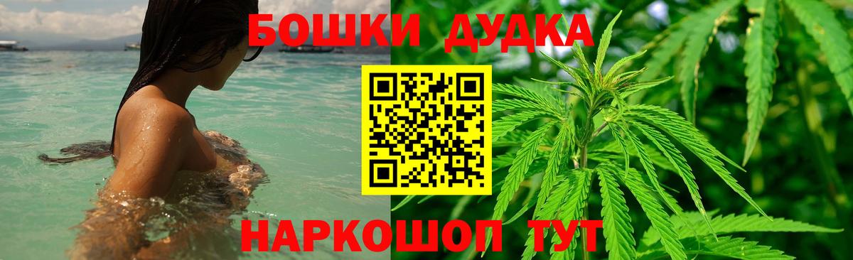 Конопля планчик  Вход с VPN  Марихуана конопля  Прокопьевск 